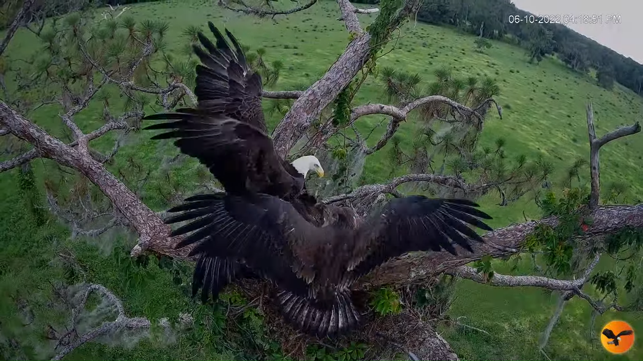 EC 4K Overhead Cam 1-45-26 screenshot