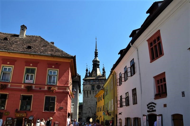 Rumanía y sus pueblos-2015 - Blogs de Rumania - Sighișoara-8-8-2015 (15)