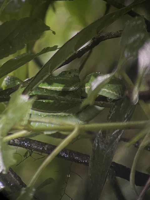 Reserva biológica del bosque de Monteverde - Tamarindo - Costa Rica desde el aire. Una ruta diferente. Julio 2021 (2)