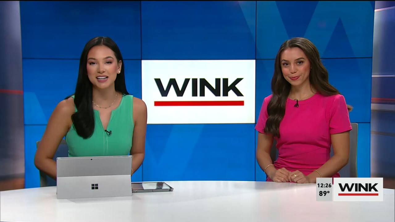 08.03 - 17.00.00 - The WINK Noon News. Midday news update..ts_snapshot_33.26.206