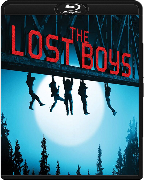 Straceni chłopcy / The Lost Boys (1987) MULTi.1080p.BluRay.x264.DTS.AC3-DENDA / LEKTOR i NAPISY PL