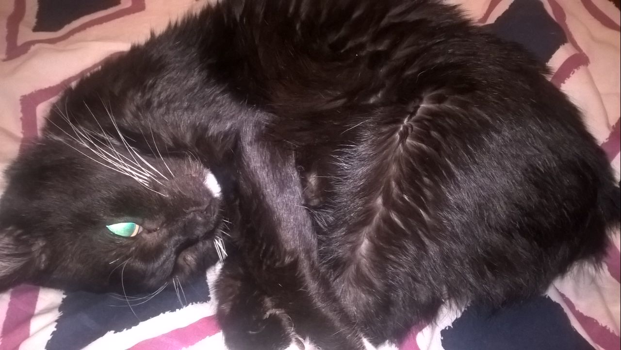 Крот поправился3