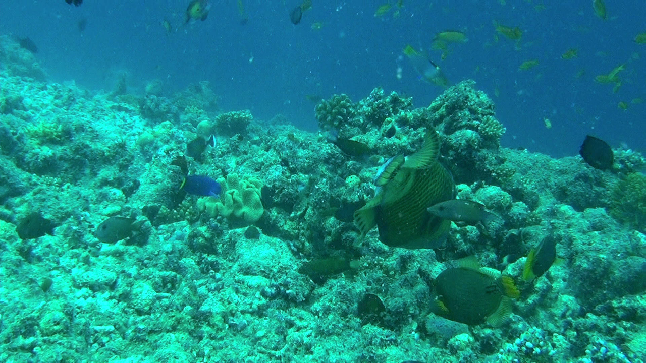 vlcsnap-2023-12-21-20h44m13s213