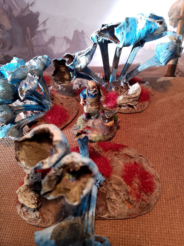 IMG 20251213 111803 PORTRAIT