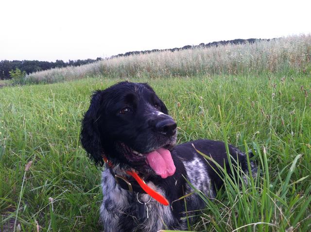 44B48337-0AF9-48AB-A601-C99FCAE92EC5