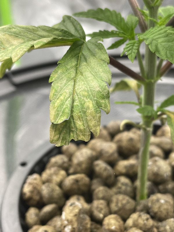 F2DD648C-1AC3-424D-9700-5BB965482E96