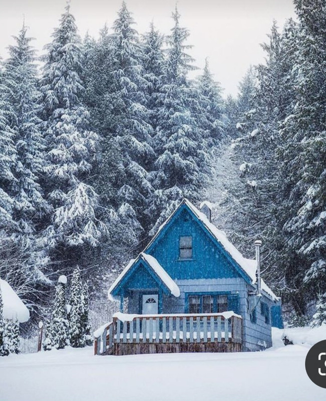 Screenshot_20240130_194630_Pinterest