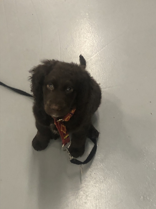 20894697-2E3C-4491-8C9B-D5D37F93BA33