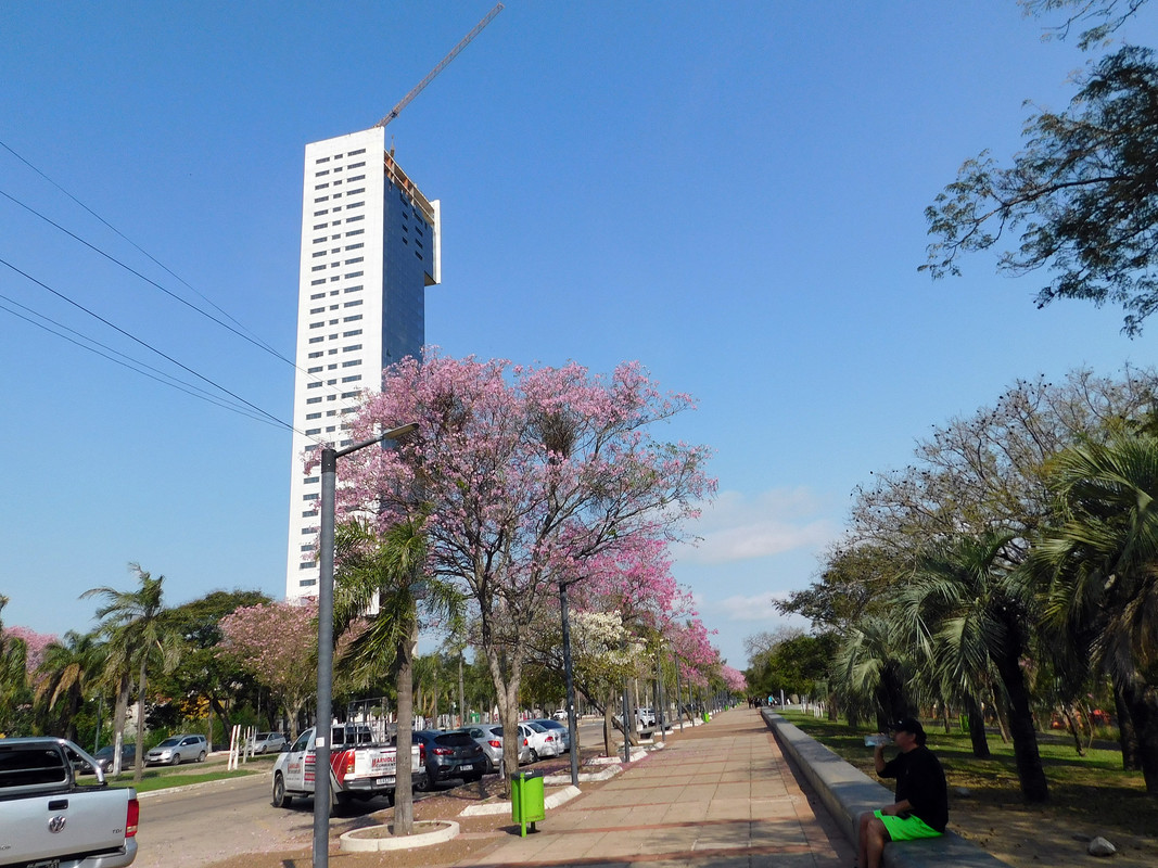 DSCN0248.jpg