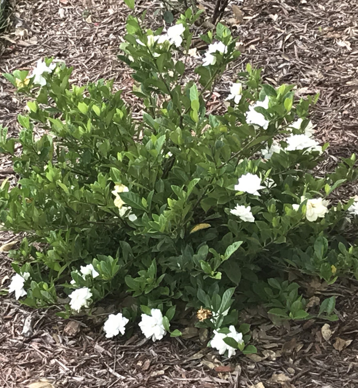 9E230299-1251-47AD-9EA5-7547E1C511AA