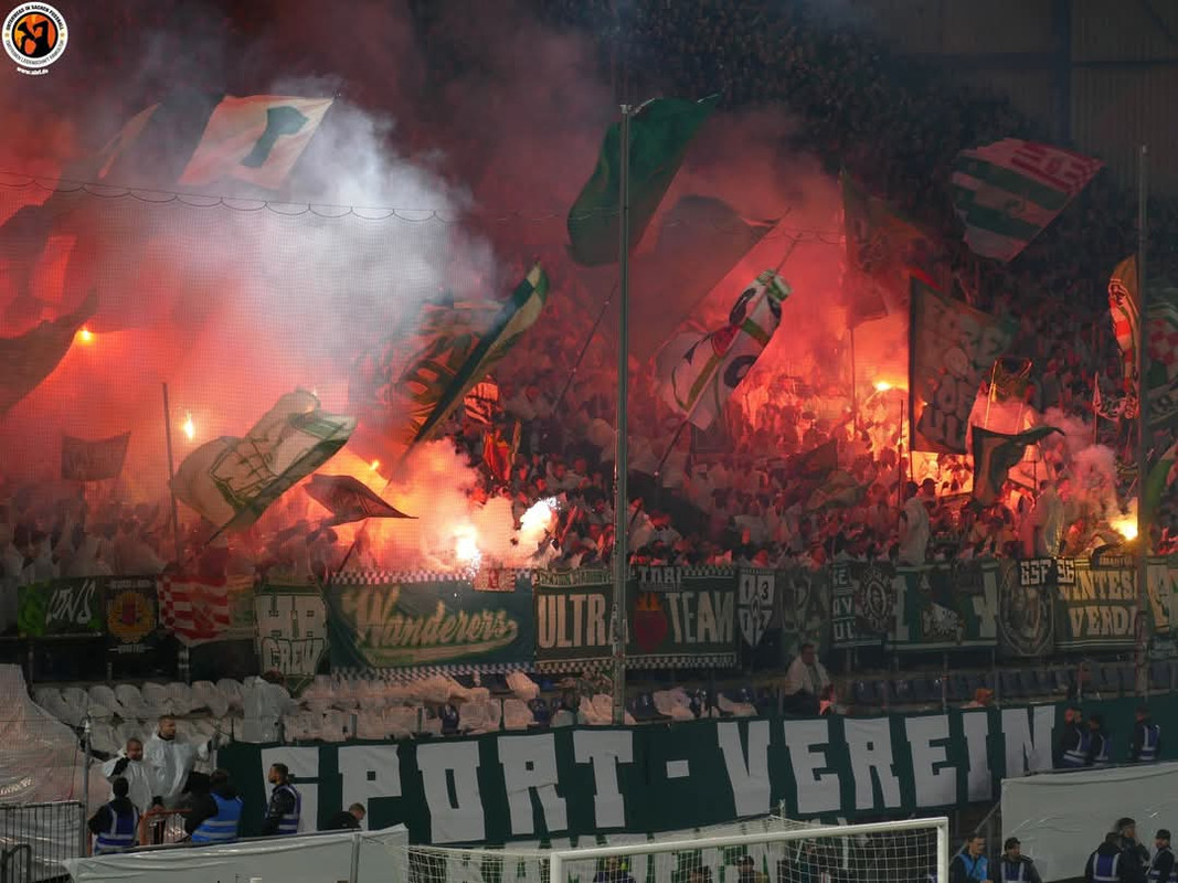 FB_IMG_1740568696828