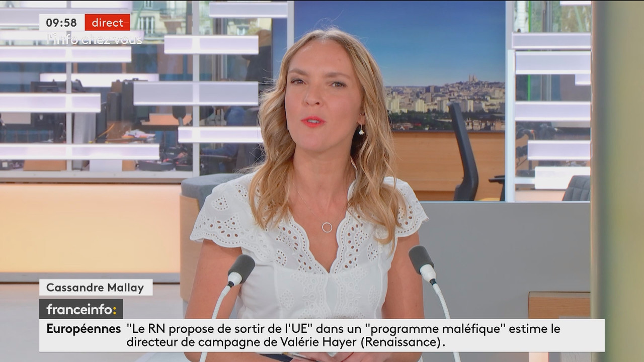 L'info chez vous (Franceinfo)_2024_05_11_08_59_37.ts_snapshot_00.30.289