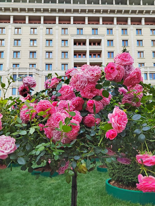 https://i.postimg.cc/t4tQvc2f/16-IMG-20250610-120208.jpg