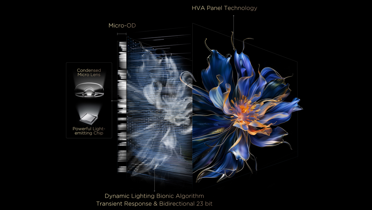 Diagrama mostrando la tecnología All-Domain Halo Control para una iluminación precisa de los MiniLED.