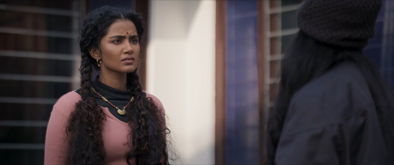 Paradha 2025 WebRip [Hindi + Tamil + Telugu + Malayalam + Kannada] 480p 720p ESub Screenshot