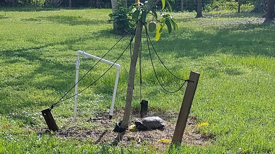 20170628_100230 (2)