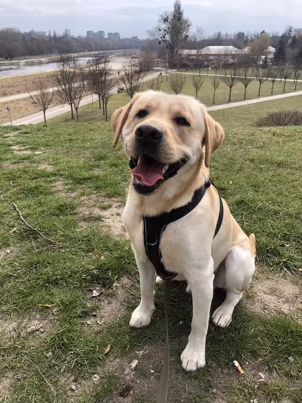 D62D5616-110F-49CA-B1B5-5B6A72271374