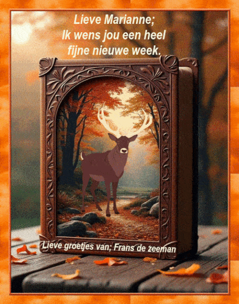 Image and video hosting by TinyPic