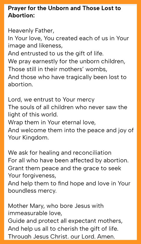 Novena 8