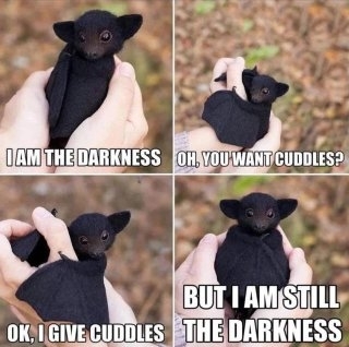 Darkness-Bat.jpg