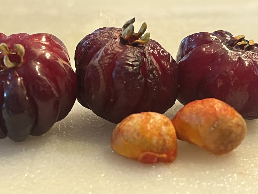 7861BC62-7CD2-450C-82C5-D304FCD06486