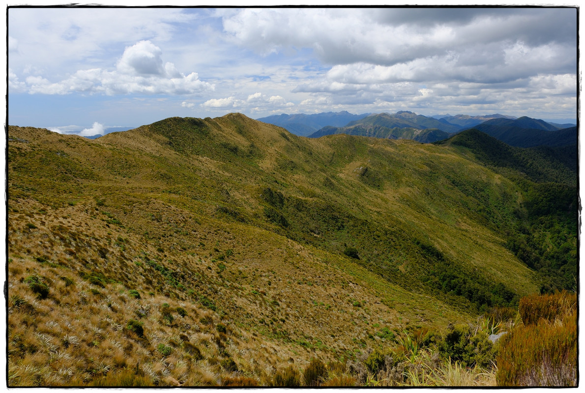 Paparoa NP: Paparoa Track (diciembre 2024) - Escapadas y rutas por la Nueva Zelanda menos conocida (15)