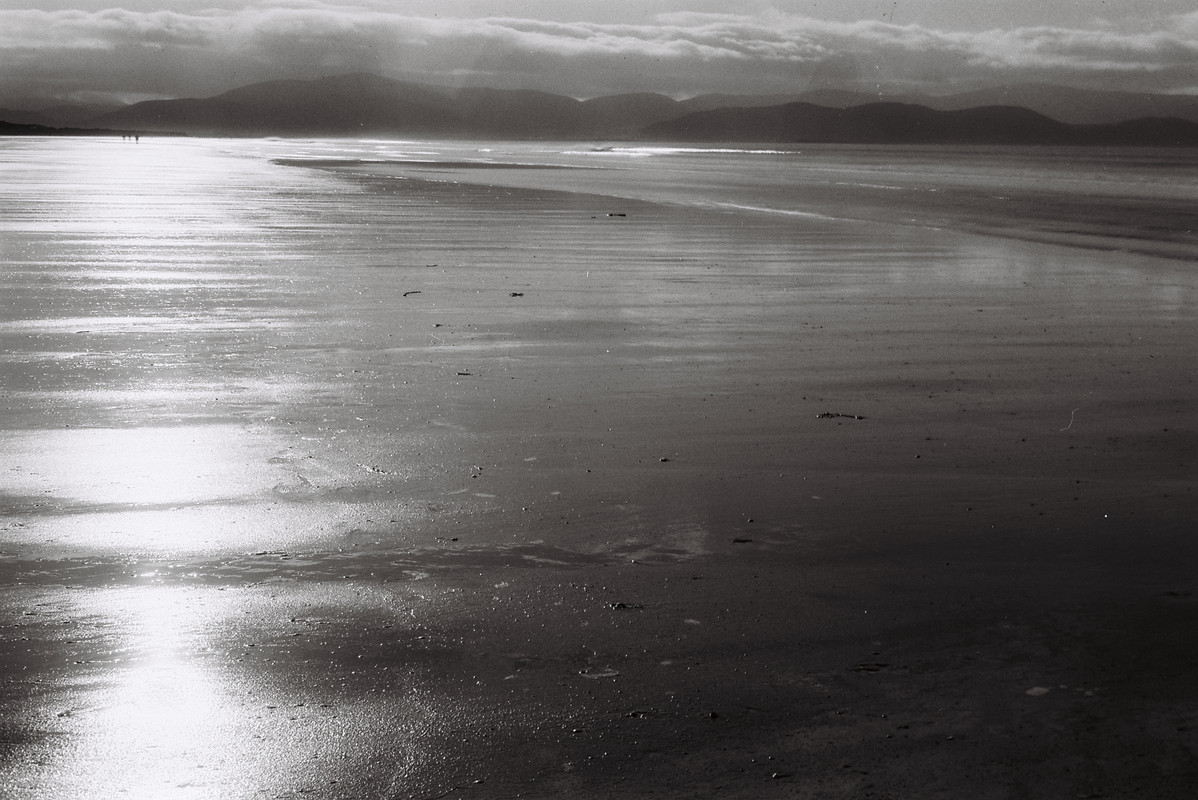 B449BEF4-D9AC-4C60-BA50-702A22AF43D1