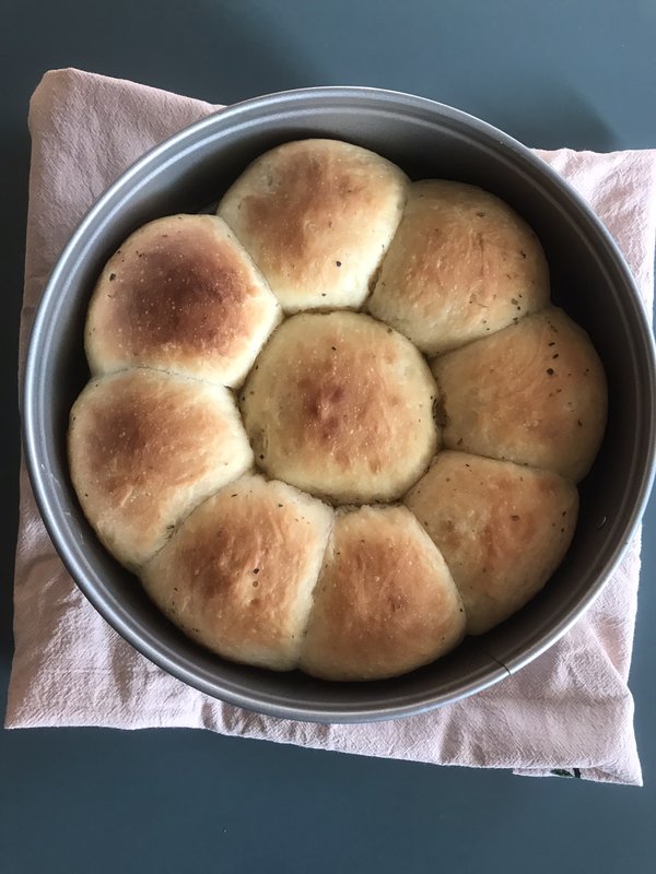 Dinner Rolls