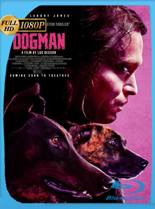 Dogman (2023) WEB-DL HD 1080p Latino [GoogleDrive]