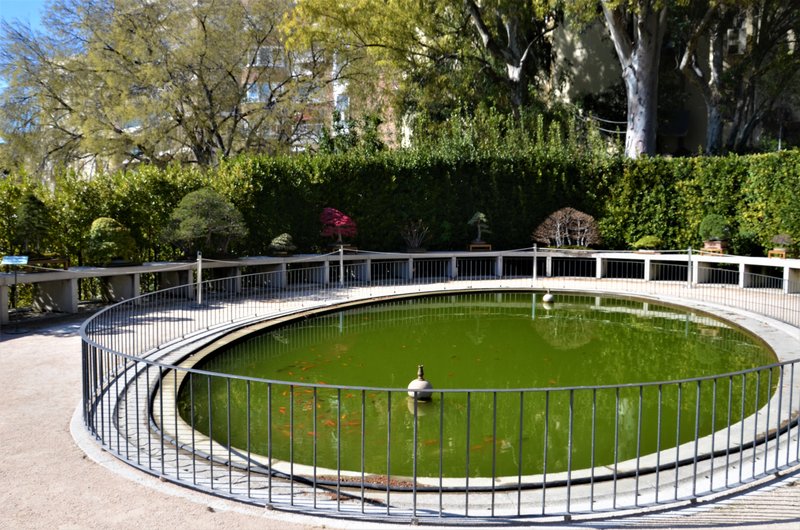 JARDIN BOTANICO-13-4-2013-MADRID - Paseando por España-1991/2017 (87)