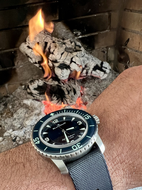 CF1C2B2E-D5C7-437D-98A8-5B9281ED2A60