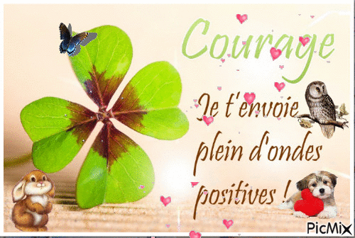 [Image: 42163-BF9-71-A5-44-E6-B298-FC4-F1-A5-F49-DC.gif]