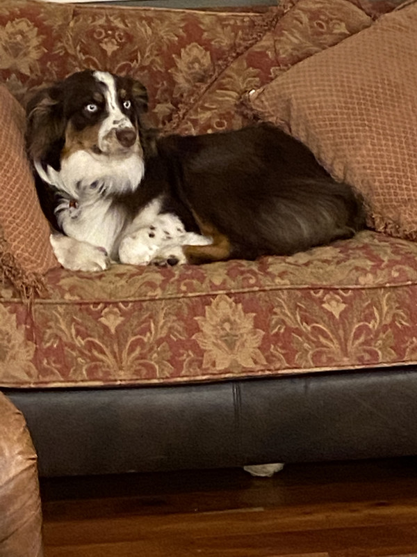 38930341-CCC0-4B1F-A04F-EDCB4C00C6A0