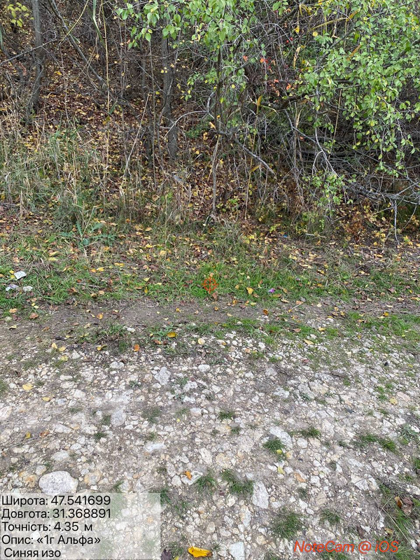 photo 32 2025 10 29 16 48 50