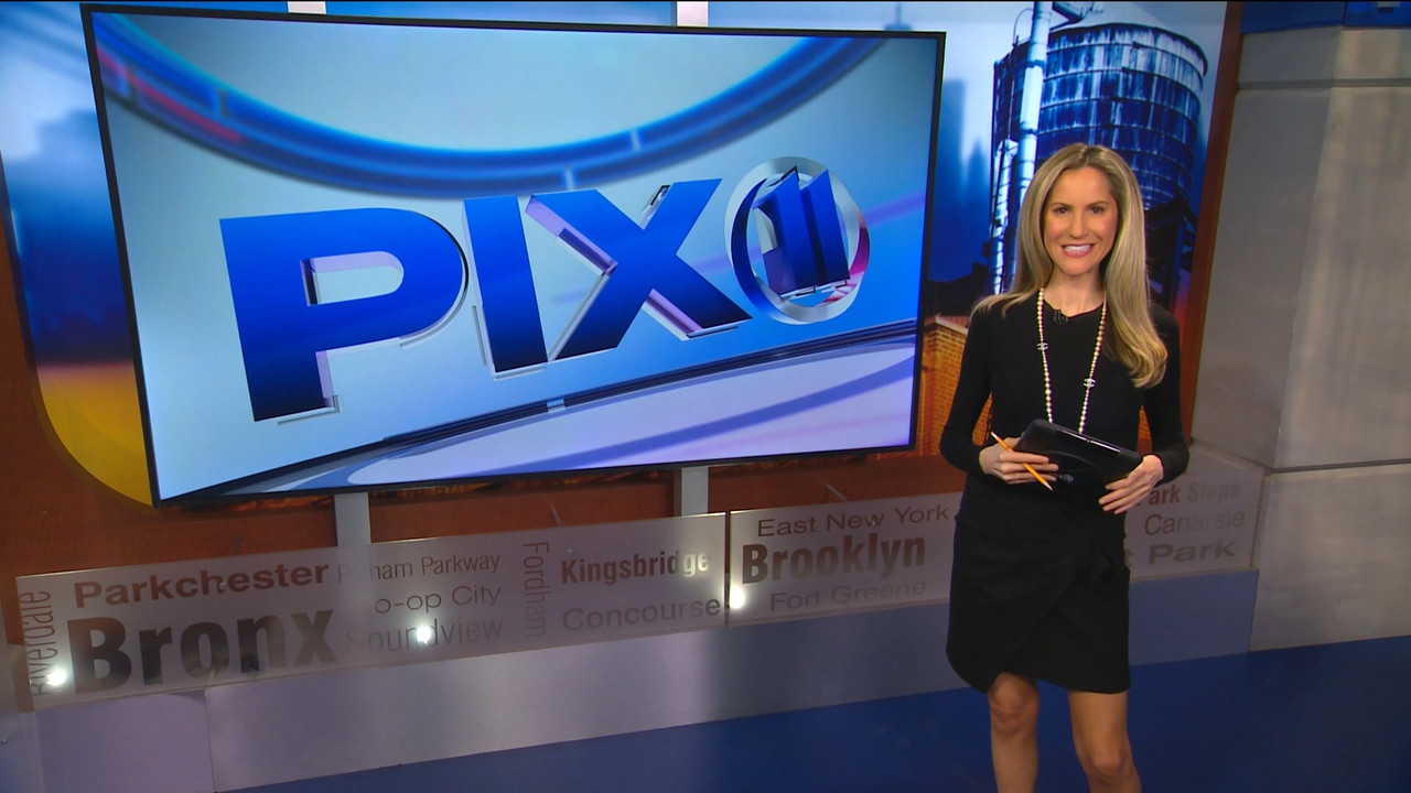 08.13 - 03.00.00 - PIX11 News at 10 with Tamsen Fadal and Kori Chambe....ts_snapshot_02.05.936