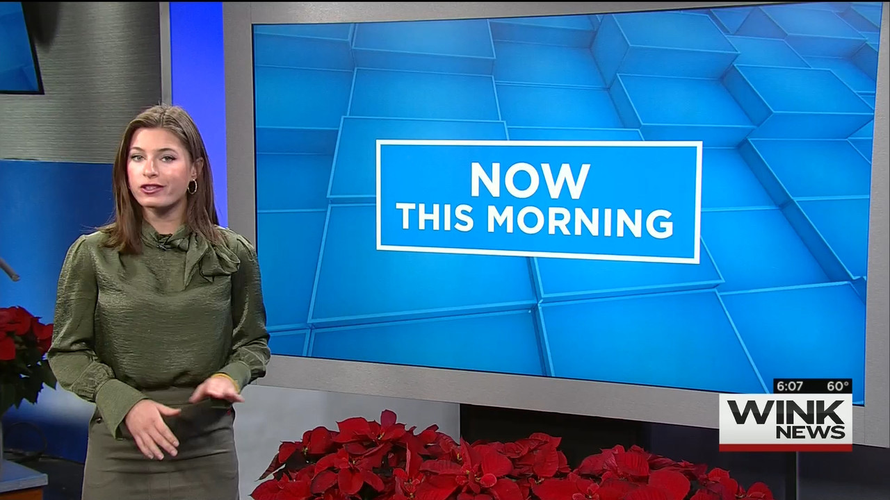 12.06 - 11.00.00 - WINK News @ 6 00AM Sunday..ts_snapshot_13.35.848