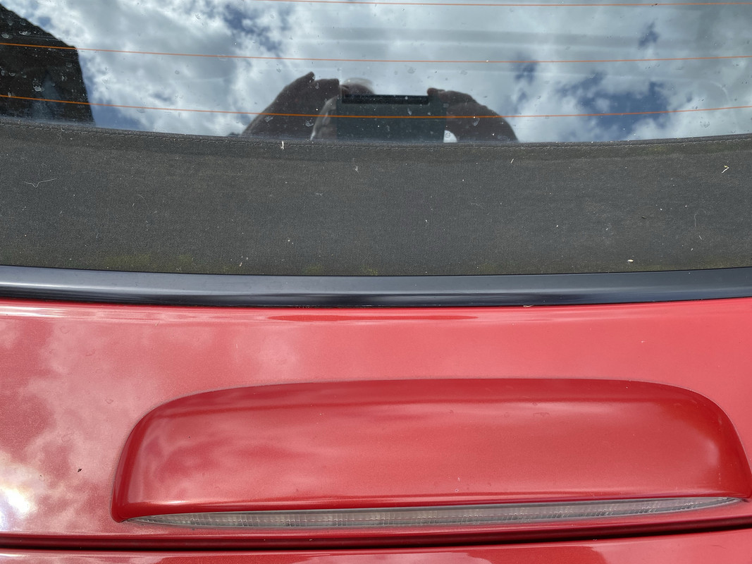 2021-07-29_12-46-41_IMG_0302