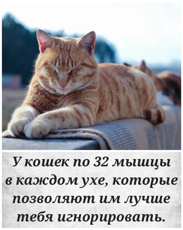 uC9qWOPiCrxfsSH3Zx-JrOPSAzq7Gx8Yrs3Rki5JfypFv2cvyWUS9lbdD3v0X6RKVBp48Q4933hTaWdH_dMxBXmb