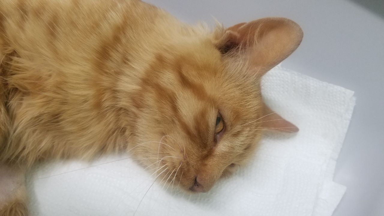 F9FDBB33-1CA9-41AD-90F1-A6DA7F8F206A