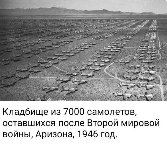 photo 2026 04 04 01 54 19