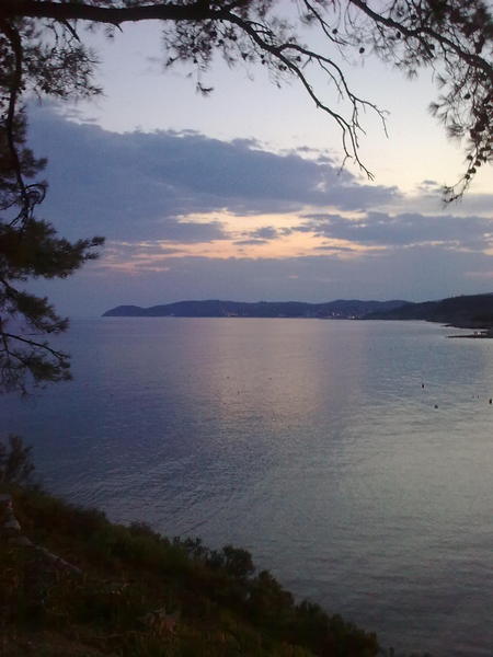 Slika
