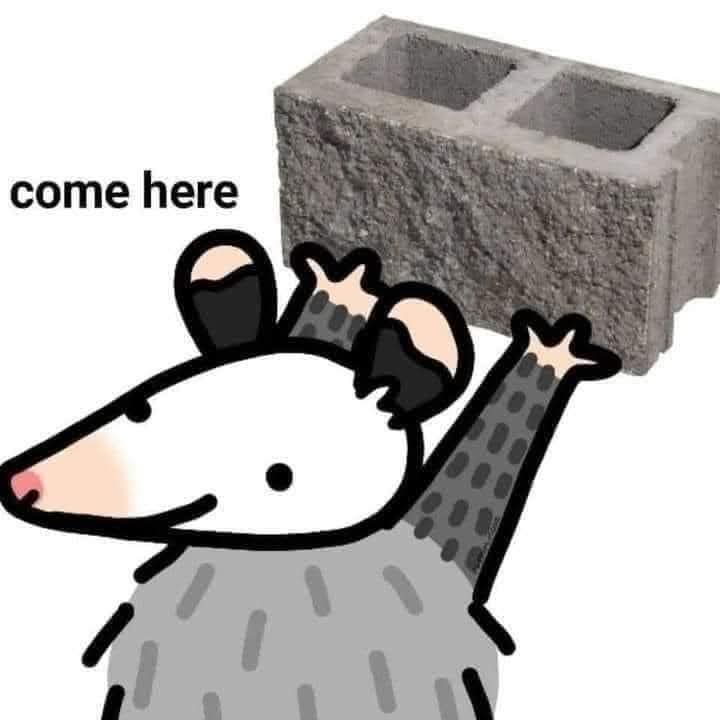 735509668010.jpg