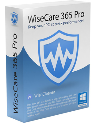 Wise Care 365 Pro 5.6.4.561 Multilingual
