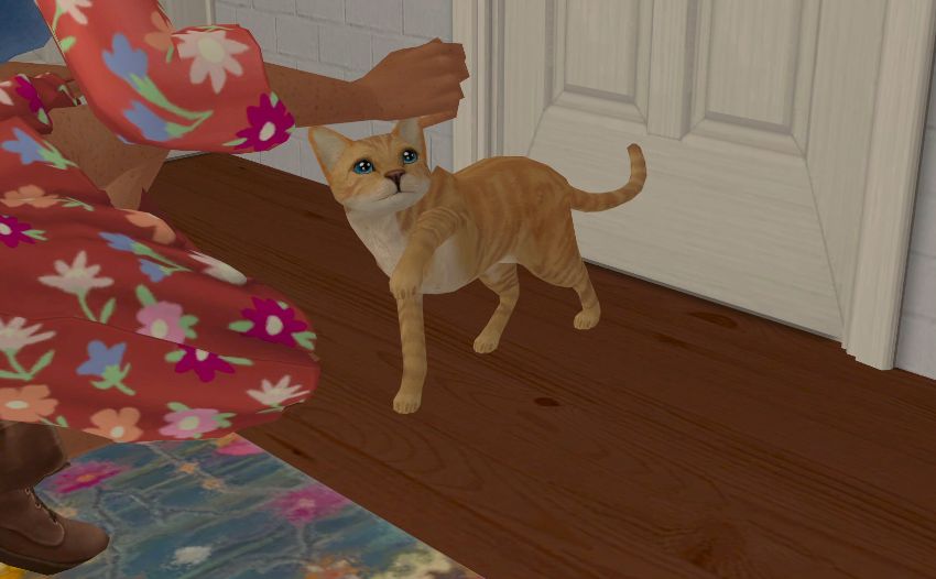 Sims2-EP9-2021-02-18-21-45-20-91