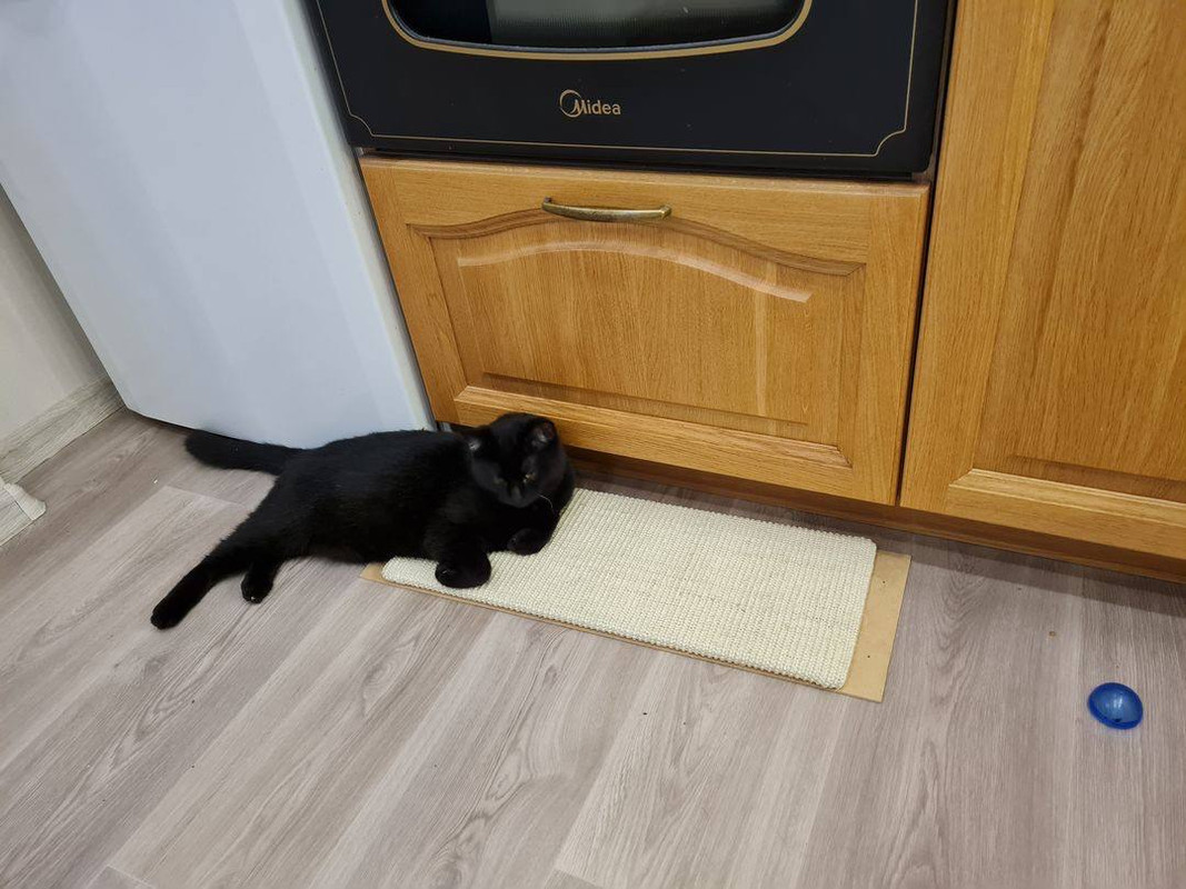 139DBA18-74F2-4635-AB6B-662B8815E451