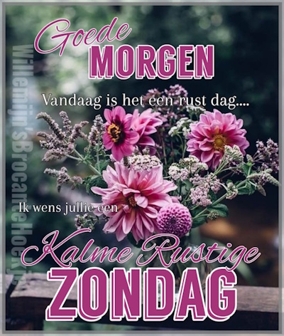 Welkom bij Pps Eddy