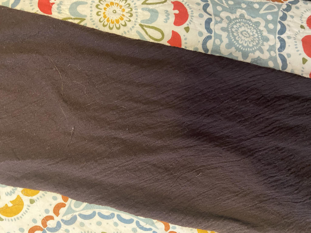 Messenger_creation_36BF8BDA-BD17-49AA-95F5-D093FC1C3C53