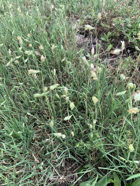 71F91E22-6738-4461-B7BD-EA22ED4A8D0A