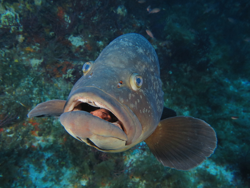 2075BA4F-93BF-4D44-B45C-03CE50CDD57B