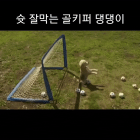 daily-gifdump-3395-04.gif